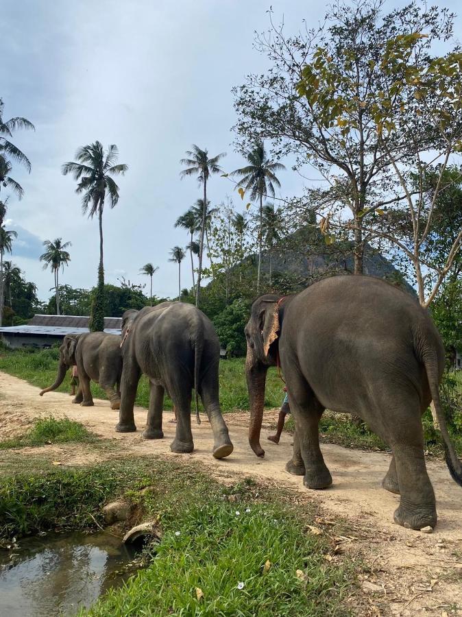 أمادها فيلاز ريتريت Ao Nang المظهر الخارجي الصورة